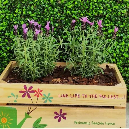 Perimenis Seaside House *