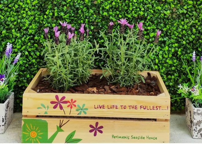 Perimenis Seaside House *